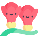 꽃