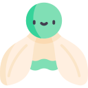 꽃