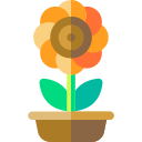 girasol icon