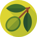 aceituna icon