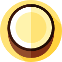 coco icon