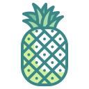 piña icon