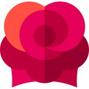 rosa icon