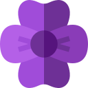 violeta icon