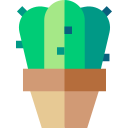 cactus icon