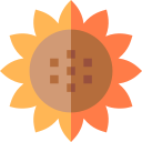 girasol icon