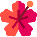 hibisco icon