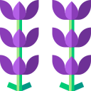 lavanda icon