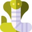 cobra icon