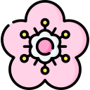 sakura icon