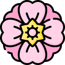 sakura icon