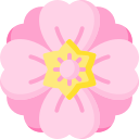 sakura icon