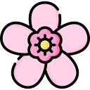 sakura icon