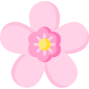 sakura icon