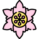 sakura icon