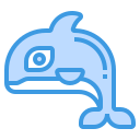 orca icon