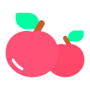 manzana icon