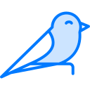 pájaro icon