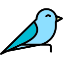 pájaro icon