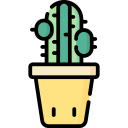 cactus icon