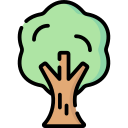 Árbol icon