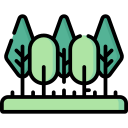 bosque icon