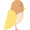 pájaro 