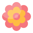 Цветок icon