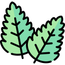 menta icon