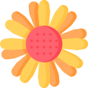 girasol icon