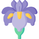 iris icon