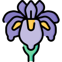 iris icon