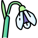 campanilla de febrero