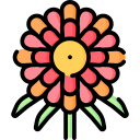 aster icon