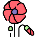 amapola icon