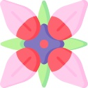 bouvardia icon