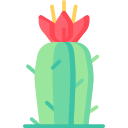 cactus icon