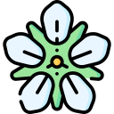 flores de fresa icon