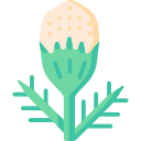 piña icon