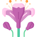 alstroemeria icon