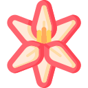 amarilis icon