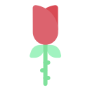 rosa icon