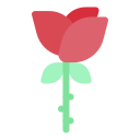 rosa