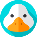 pato icon