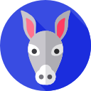 burro icon