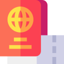 pasaporte icon