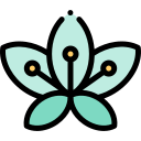 백합 