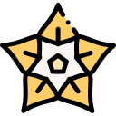 Hoya 