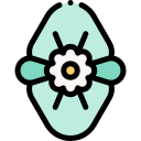 begônia 