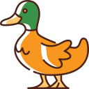 pato icon